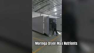 Asciugatrice a pompa di calore Coattech 7-HP | Disidratazione industriale della Moringa